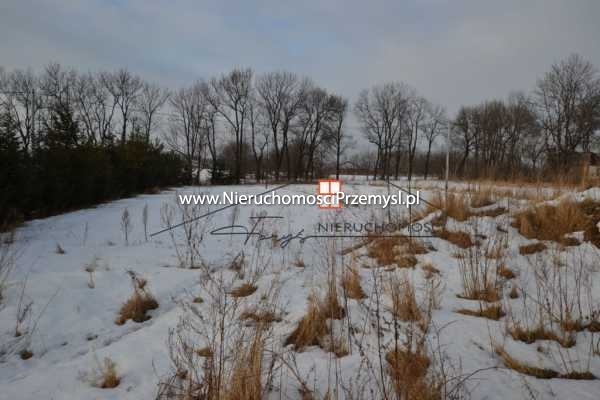 Land for sale with the area of 1100 m2
