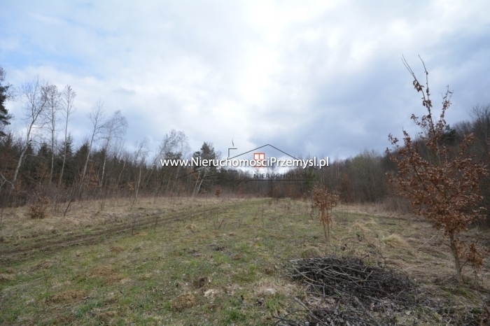 Land for sale with the area of 24100 m2