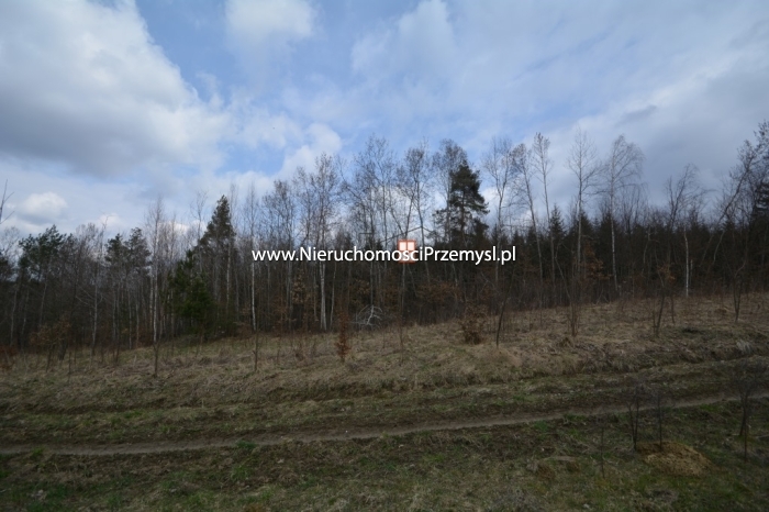 Land for sale with the area of 24100 m2