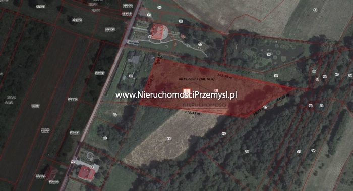 Land for sale with the area of 6000 m2