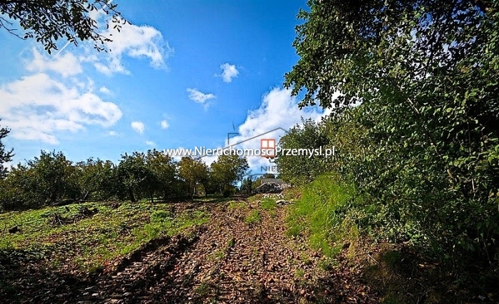 Land for sale with the area of 1382 m2