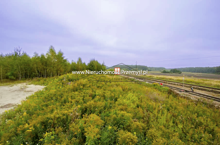Land for sale with the area of 9700 m2