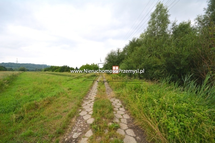 Land for sale with the area of 9159 m2