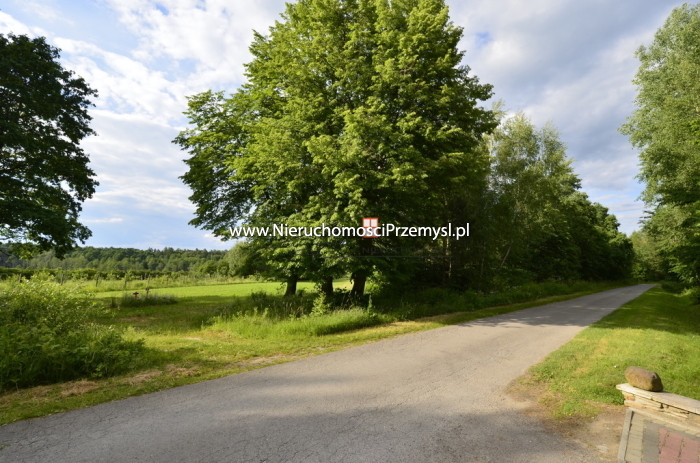Land for sale with the area of 28900 m2
