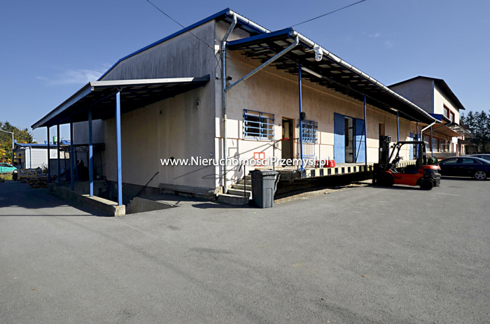 Commercial facility for rent with the area of 525 m2