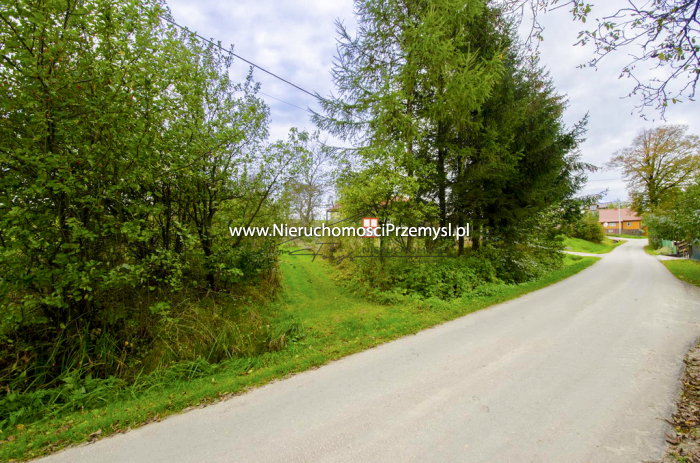 Land for sale with the area of 3100 m2