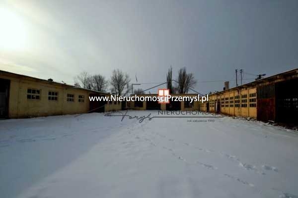 Commercial facility for rent with the area of 17500 m2
