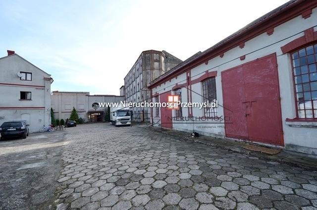 Commercial facility for rent with the area of 60 m2