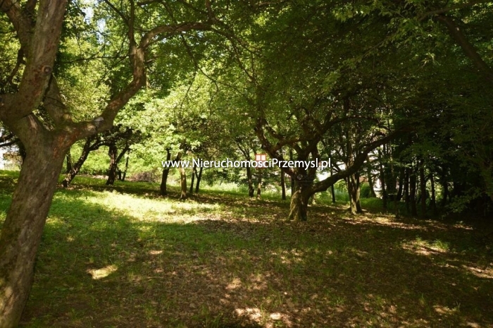 Land for sale with the area of 3204 m2