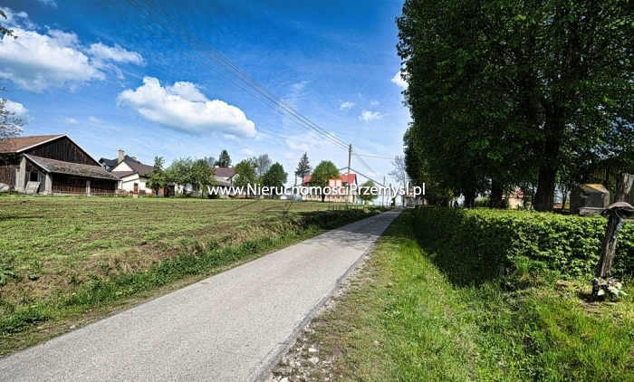 Land for sale with the area of 4700 m2