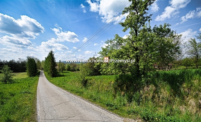 Land for sale with the area of 4700 m2