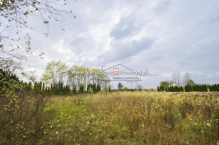 Land for sale with the area of 4000 m2