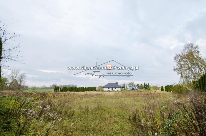 Land for sale with the area of 4000 m2
