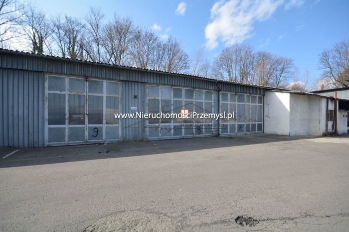 Commercial facility for rent with the area of 320 m2