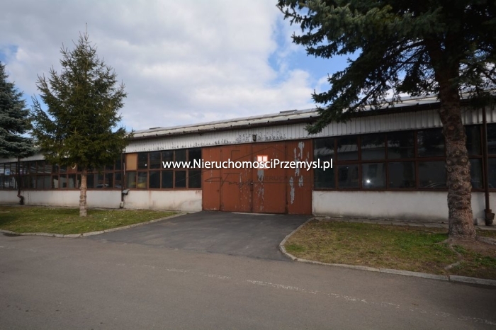 Commercial facility for rent with the area of 580 m2