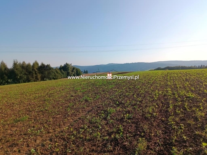 Land for sale with the area of 1485 m2